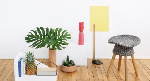 wd-blog-1